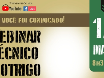 webinar biotrigo