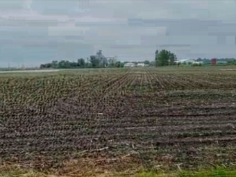 "CropTour" Ginaldo 17/06
