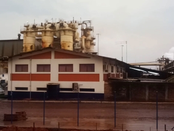 Yes - Fabrica Borá