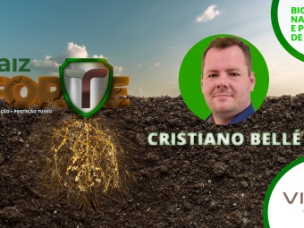 Cristiano Bellé - Raiz Forte