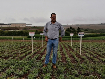 Luis Henrique Penckowski - Gerente-Técnico Fundação ABC, Ponta Grossa - PR