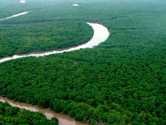 Código Florestal 16:9