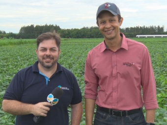 Tiago Ferreira Mendes - Representante Comercial Intacta / Bayer
