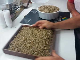 Café Especial - Foto enviada por Fernando Barbosa - 16:9