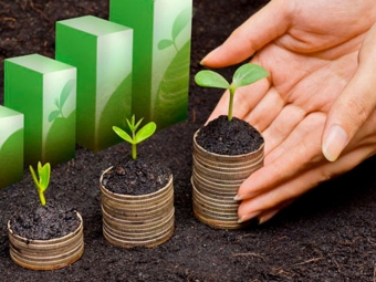 economia rural