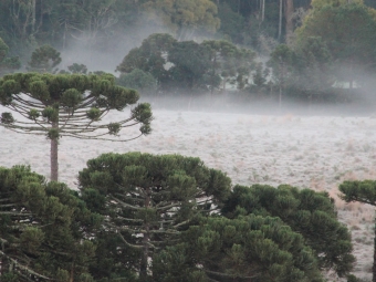 Clima 16:9