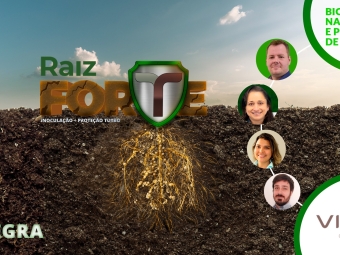 Raiz Forte Vittia - Integra