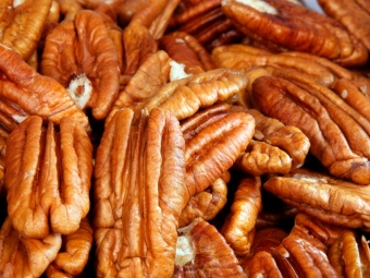 Nozes Pecan 16:9
