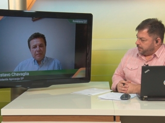 Aleksander Horta e Gustavo Chavaglia