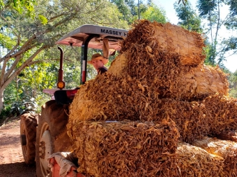 Giovane Weber - Produtor Rural de Santa Cruz do Sul/RS