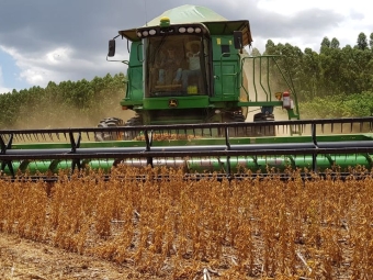 Colheita soja, máquinas, colheitadeira, Lavoura de soja, plantas - Daniel Olivi - 16:9