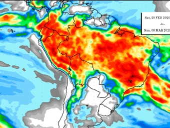 Precipitação 10 dias 21/02/2020