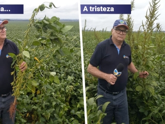 A Alegria... A tristeza - Duas realidades do Paraguai - 16:9