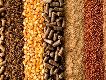 insumos, fertilizantes