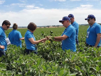 Crop Tour Labhoro - EUA 2019 - Dia 01 - Video - 16:9