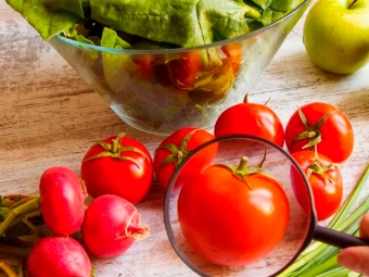 Segurança alimentar