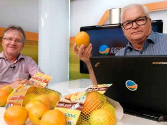 Emílio Fávero - Sócio - Diretor da Alfacitrus