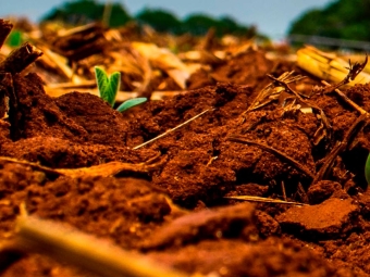 plantio soja - 16:9