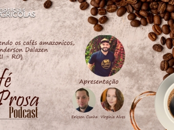 cafe em prosa 12