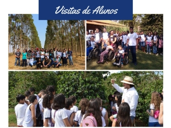 Projeto Agronegócio para as escolas