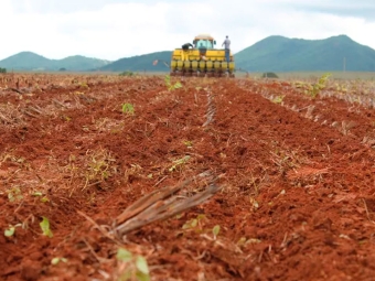 Plantio de Soja - 16:9