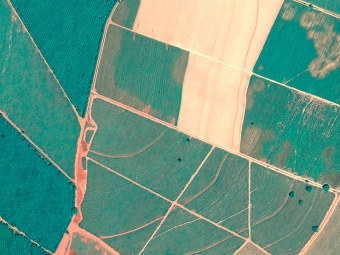 imagem de satelite - lavoura - talhoes - 16:9