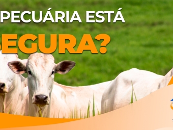 a-pecuária-está-segura-yt
