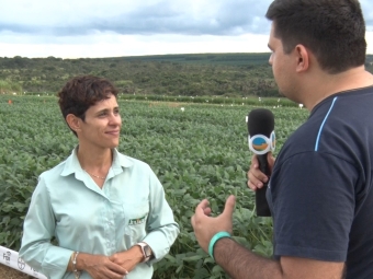 Fernanda Juliatti e Guilherme Dorigatti - 16:9