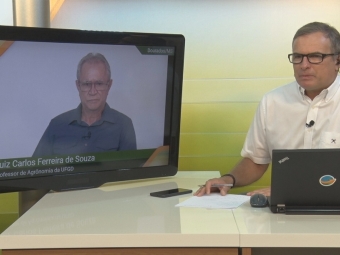 Luiz Carlos Ferreira de Souza e Fred