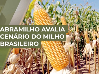 abramilho