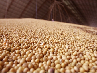 Soja armazenada, silo - 16:9