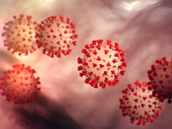 Coronavirus - 16:9
