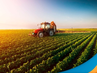 agricultura