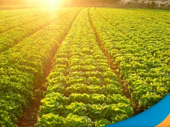 agricultura