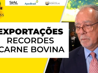 Antonio Jorge Camardelli