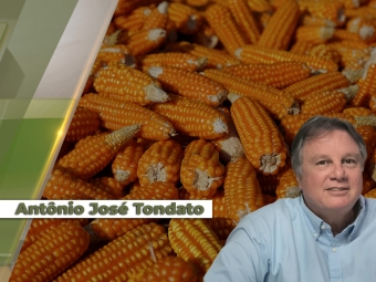 Antônio-José-Tondato