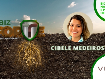 Cibele Medeiros - Raiz Forte