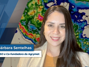 barbara sentelhas site