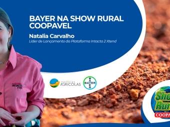 Bayer