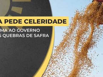 bda-arnaldo