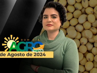 bda-leticia