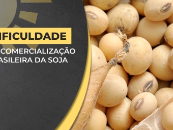 bda-soja