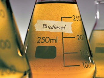 biodesel