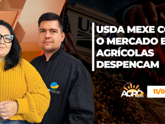 BOA TARDE AGRONEGÓCIO