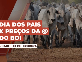 boi-08-08