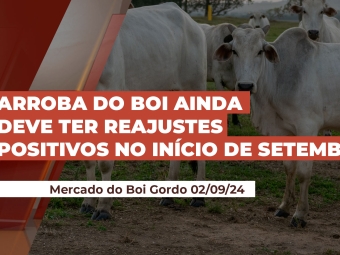 boihoje