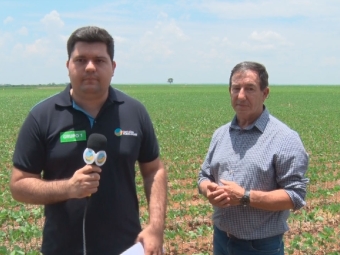 Paulo Triches - Produtor Rural de Sorriso/MT