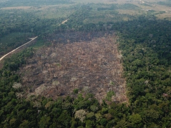 Desmatamento Amazônia 16:9