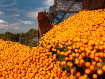 Laranja 16:9