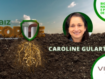 Caroline Gulart - Raiz Forte